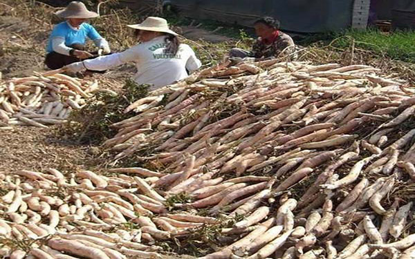 薯渣烘干機干燥過程分為四個干燥階段 薯渣烘干機干燥過程分為四個干燥階段